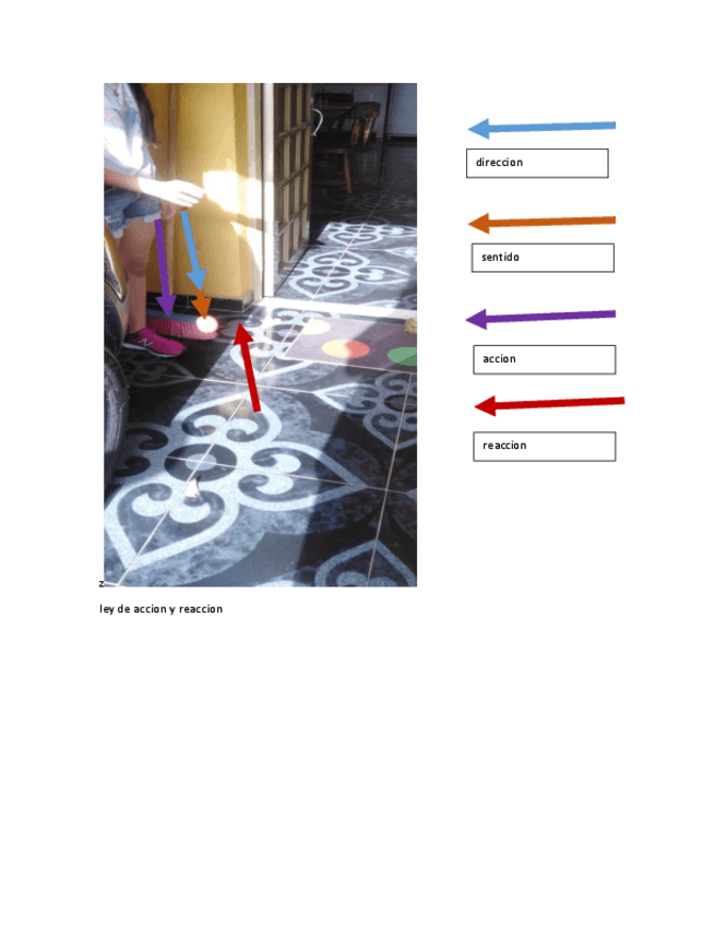 Miniatura del documento LEY-DE-NEWTON.pdf