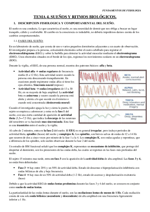 Miniatura del documento TEMA-4.pdf