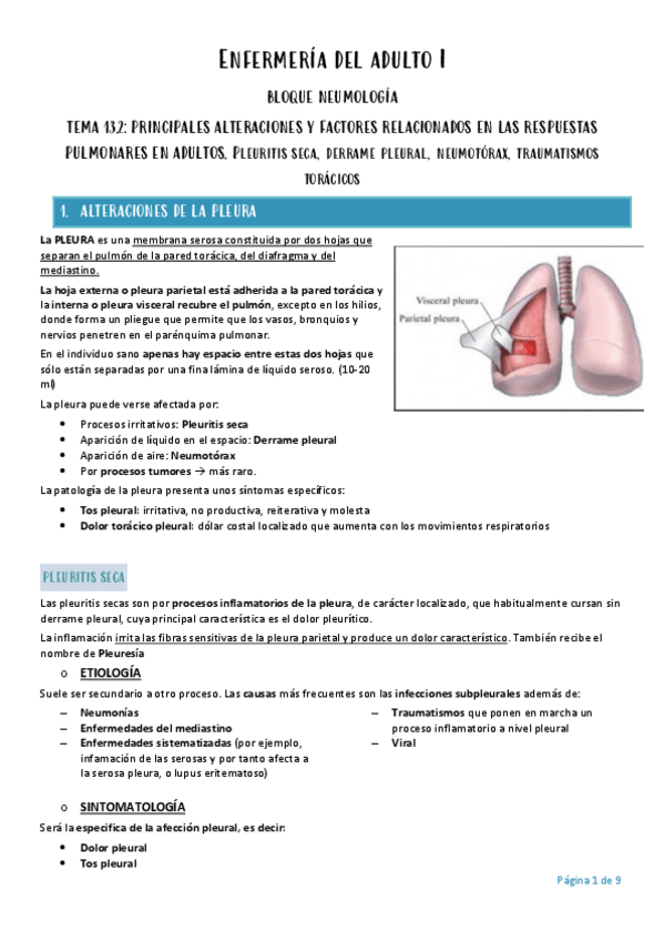 Miniatura del documento Enfermeria-del-adulto-I-tema-13.pdf
