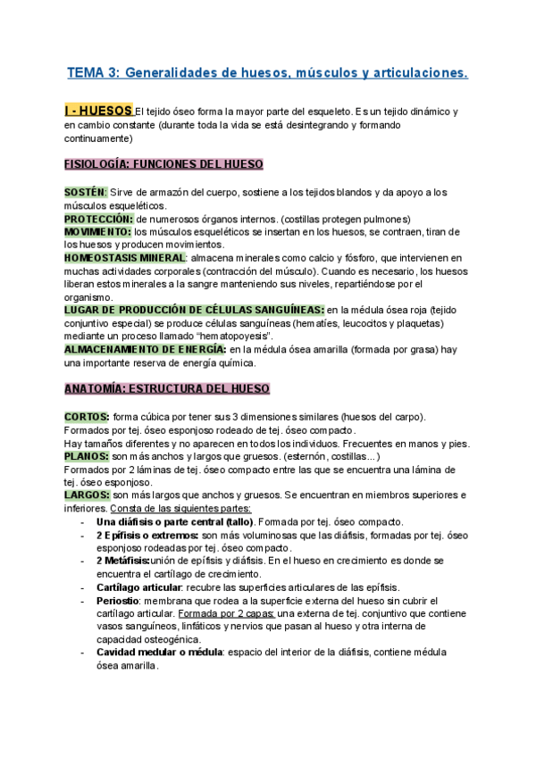 Miniatura del documento APUNTES-T3-ANATOMIA.pdf