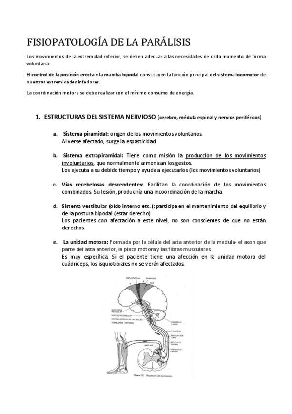 Miniatura del documento FISIOPATOLOGIA-DE-LA-PARALISIS.pdf