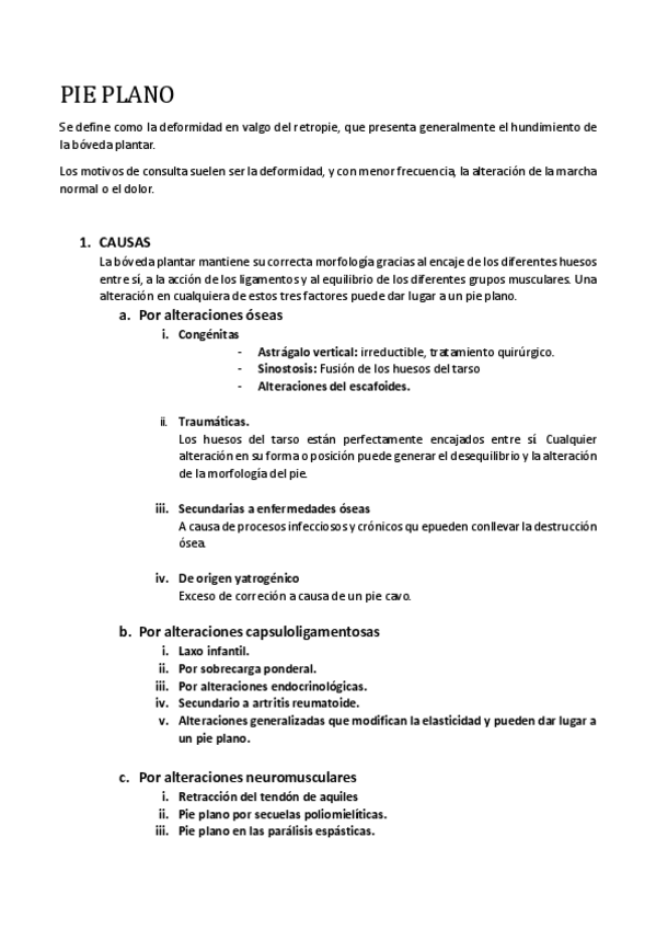 Miniatura del documento PIE-PLANO.pdf