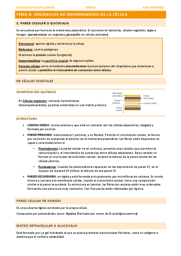 Miniatura del documento TEMA-8-ORGANULOS-NO-MEMBRANOSOS.pdf