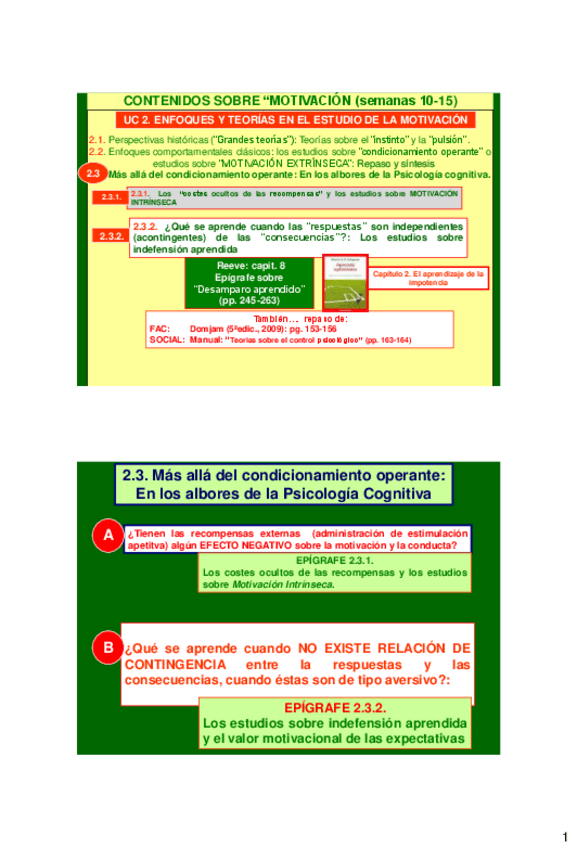 Miniatura del documento Epigrafe 2.4.1 (SELIGMAN).pdf