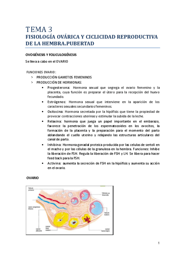 Miniatura del documento Tema-3.pdf