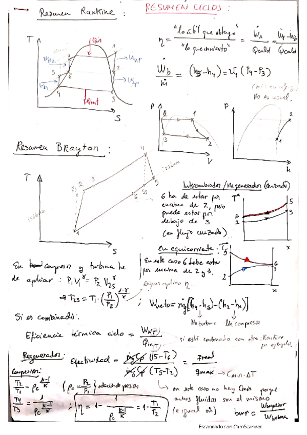 Miniatura del documento resumen-ciclos.pdf
