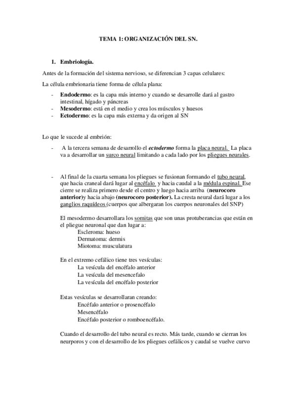 Miniatura del documento TEMA-1-ORGANIZACION-SN-.pdf