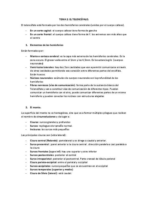 Miniatura del documento TEMA-2-EL-TELENCEFALO.pdf