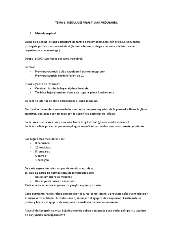 Miniatura del documento TEMA-6-MEDULA-ESPINAL-Y-VIAS-MEDULARES.pdf
