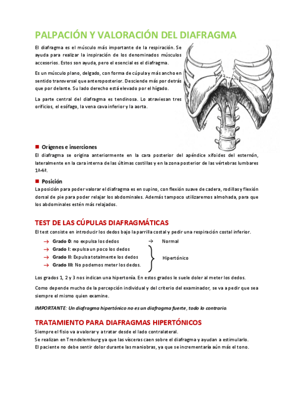 Miniatura del documento Valoracion-del-diafragma.pdf