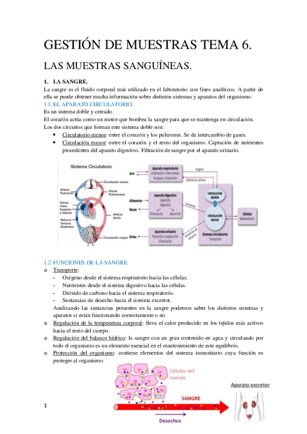 Miniatura del documento Tema 6 Gestión de Muestras Biológicas.pdf