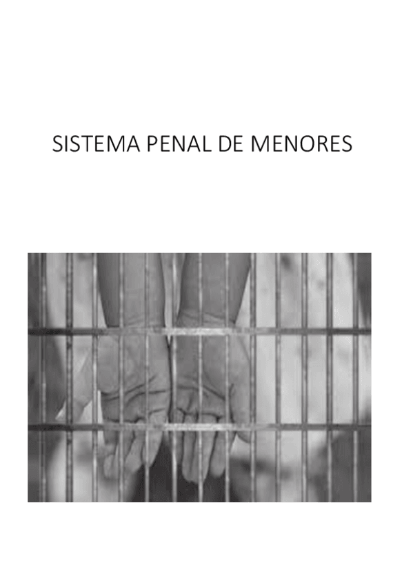 Miniatura del documento SISTEMA-PENAL-DE-MENORES-COMPLETO.pdf