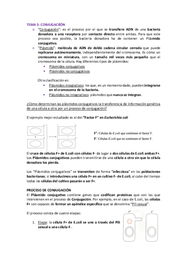 Miniatura del documento Genetica-bacteriana-3.pdf