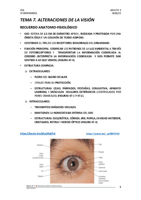 Miniatura del documento TEMA-7.pdf