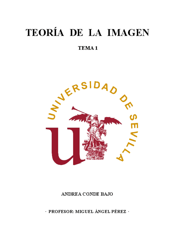 Miniatura del documento Tema 1 - Teoria de la Imagen.pdf