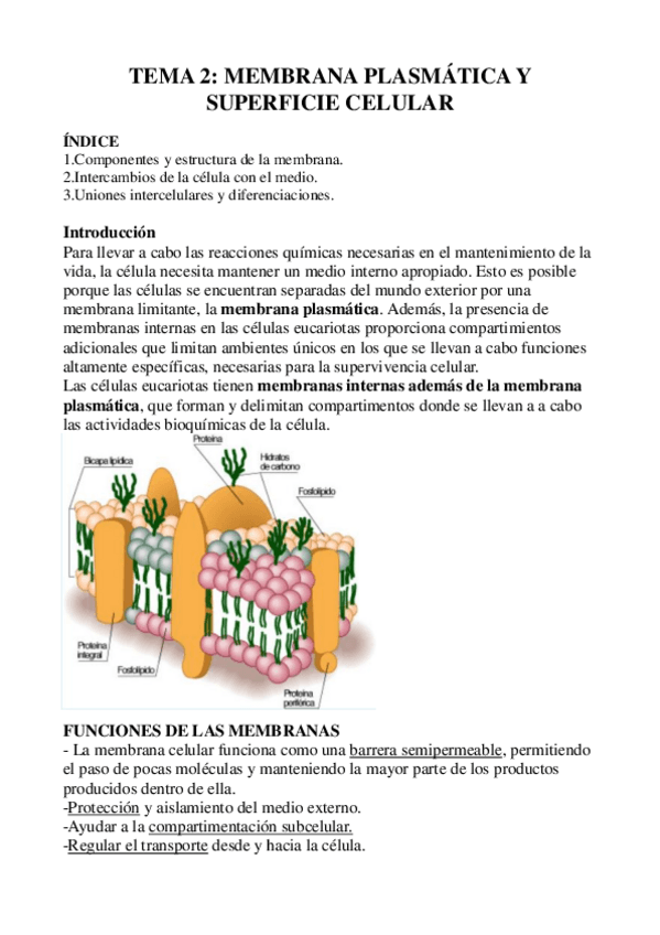 Miniatura del documento tema-2-resumen.pdf