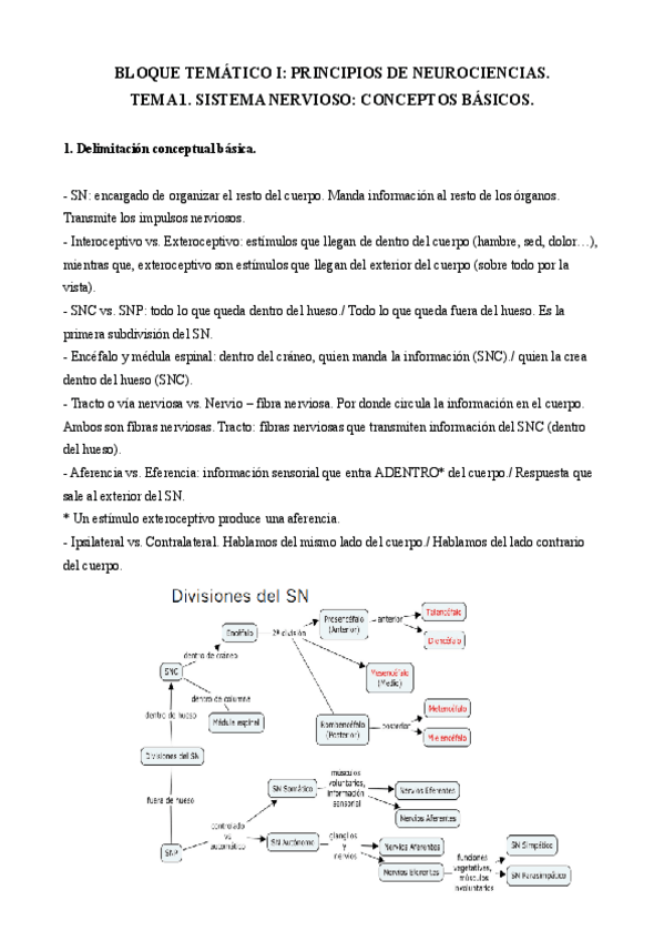 Miniatura del documento APUNTES-BOFE.pdf