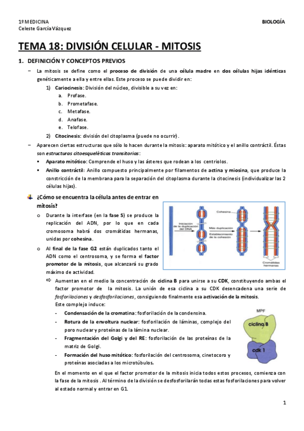 Miniatura del documento TEMA-18-1.pdf