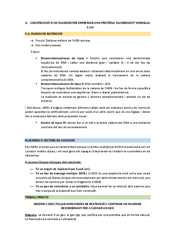 Miniatura del documento TEORIA-DE-LES-PRACTIQUES-A-ESTUDIAR-PER-LEXAMEN.pdf