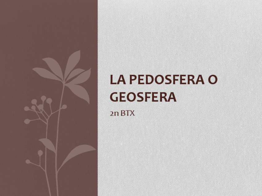 Miniatura del documento Pedosfera.pdf