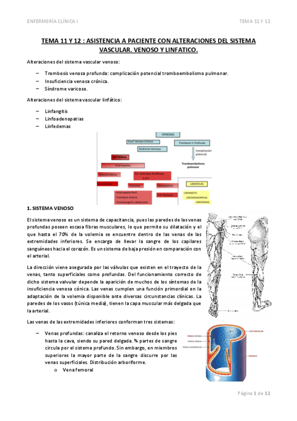 Miniatura del documento TEMA-11-Y-12ASISTENCIA-A-PACIENTE-CON-ALTERACIONES-DEL-SISTEMA-VASCULAR.pdf