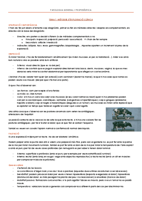 Miniatura del documento PATOLOGIA-GENERAL-I-PROPEDEUTICA.pdf