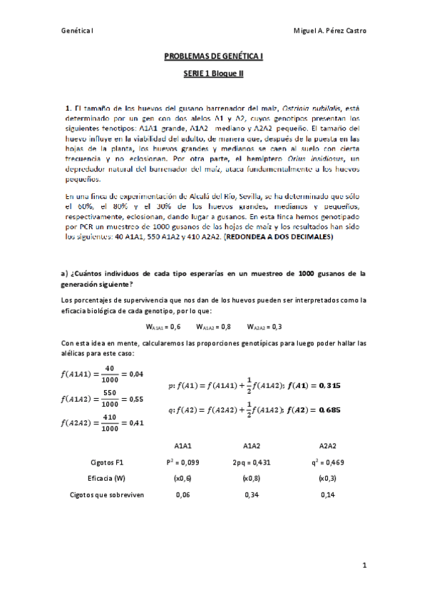 Miniatura del documento Serie 2-Bloque II RESUELTA.pdf