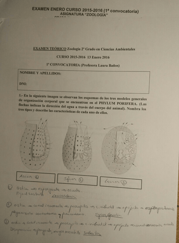 Miniatura del documento IMG-20180115-WA0005.jpg