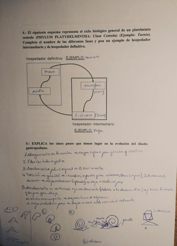 Miniatura del documento IMG-20180115-WA0000.jpg