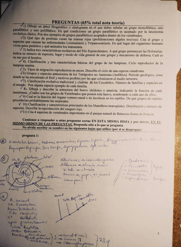 Miniatura del documento IMG-20180115-WA0002.jpg
