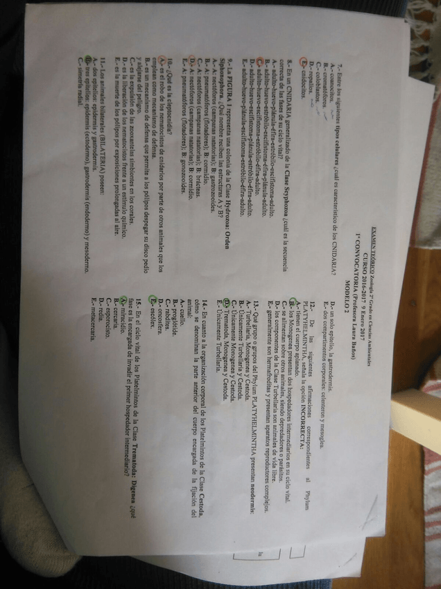 Miniatura del documento IMG-20180115-WA0010.jpg