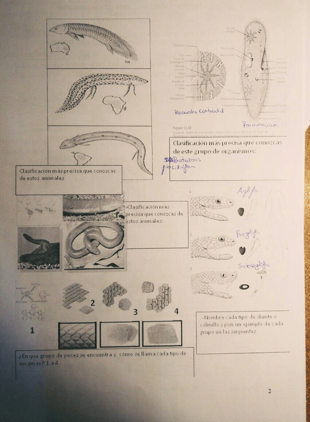 Miniatura del documento IMG-20180115-WA0008.jpg