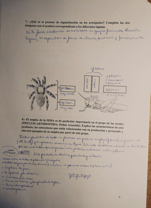 Miniatura del documento IMG-20180115-WA0004.jpg