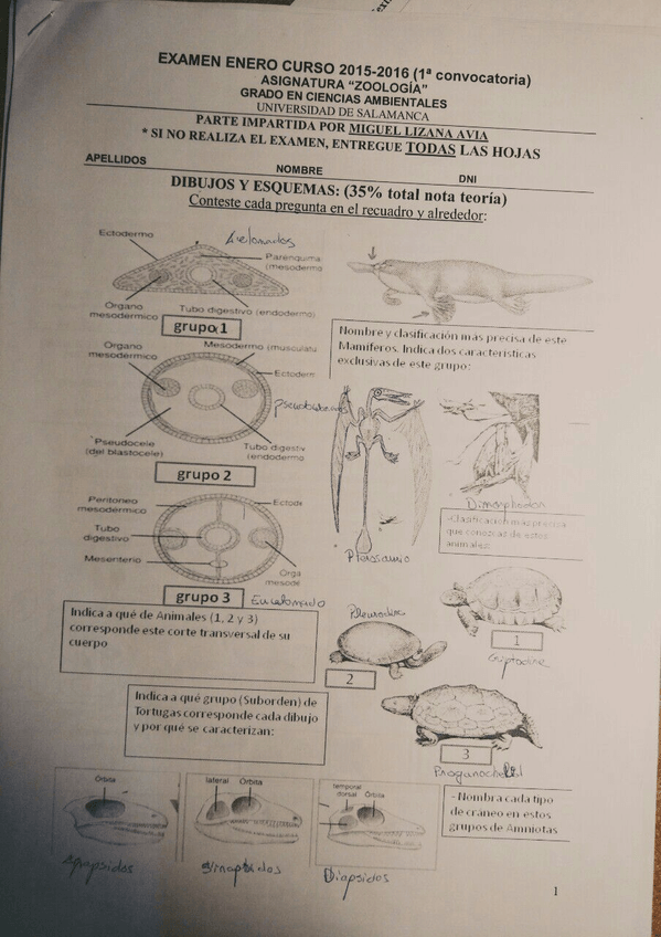 Miniatura del documento IMG-20180115-WA0001.jpg