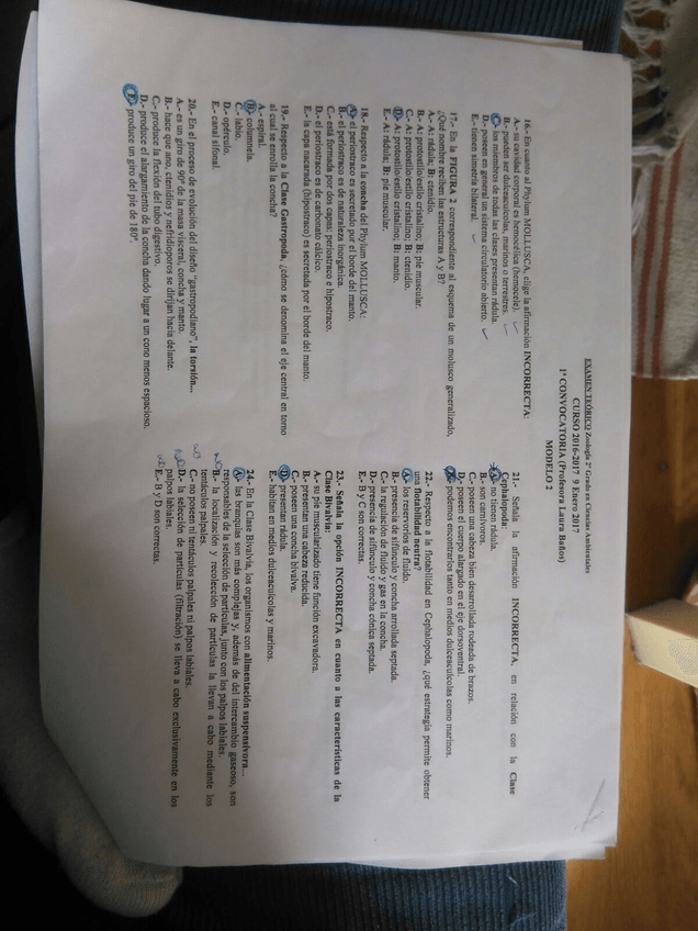 Miniatura del documento IMG-20180115-WA0011.jpg