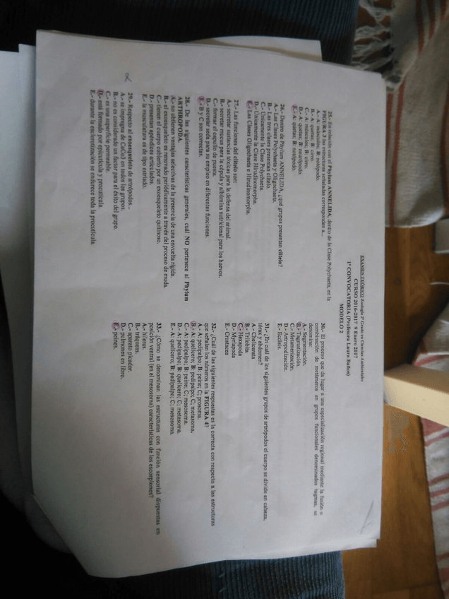 Miniatura del documento IMG-20180115-WA0013.jpg