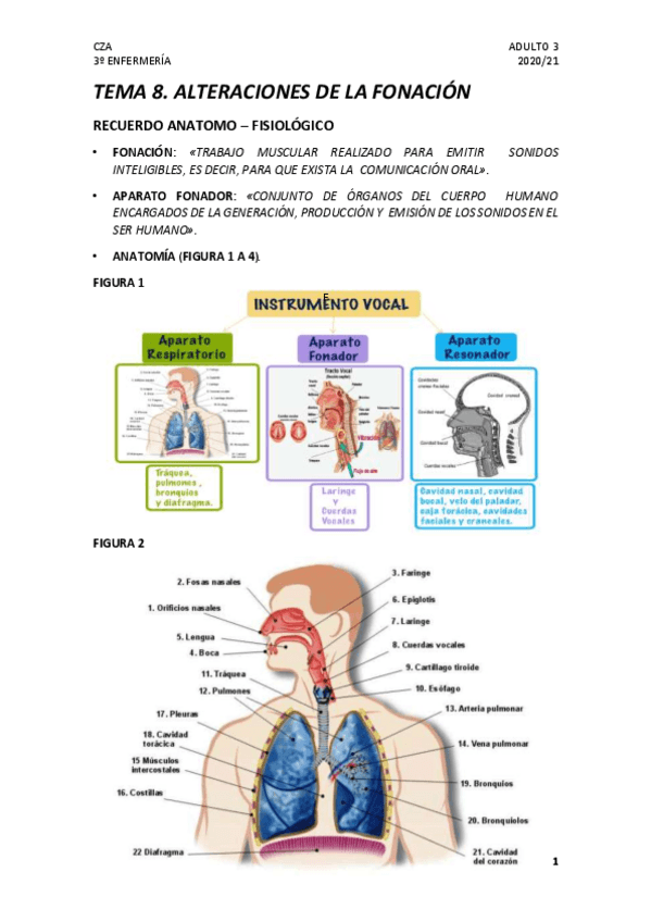 Miniatura del documento TEMA-8.pdf