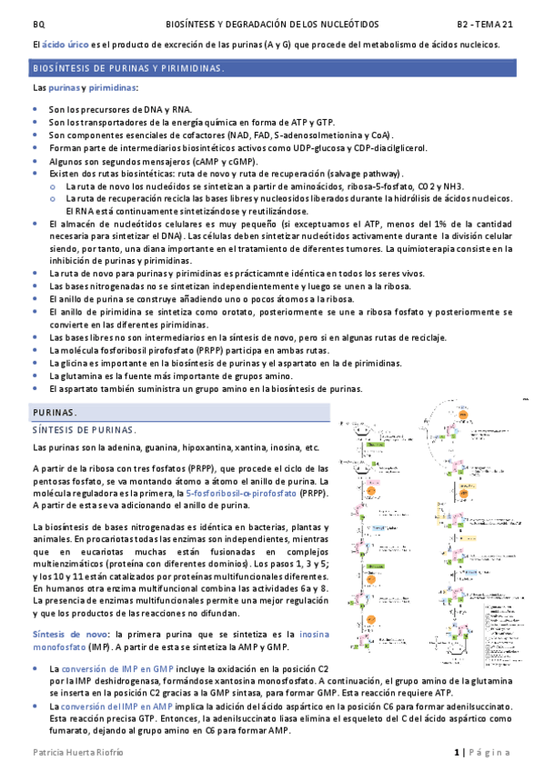 Miniatura del documento T21.pdf