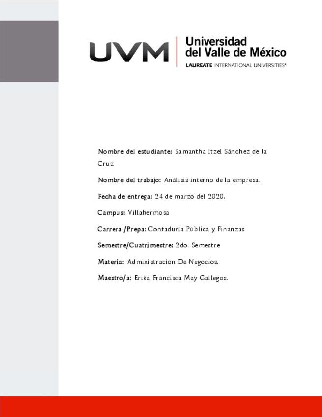 Miniatura del documento analisis-interno.pdf