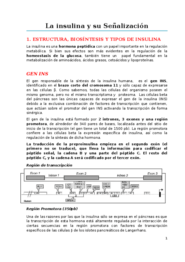 Miniatura del documento Trabajo-Insulina-Modelo.docx