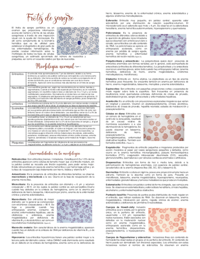 Miniatura del documento frotis.pdf