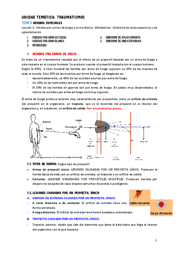 Miniatura del documento TEMA-5.pdf