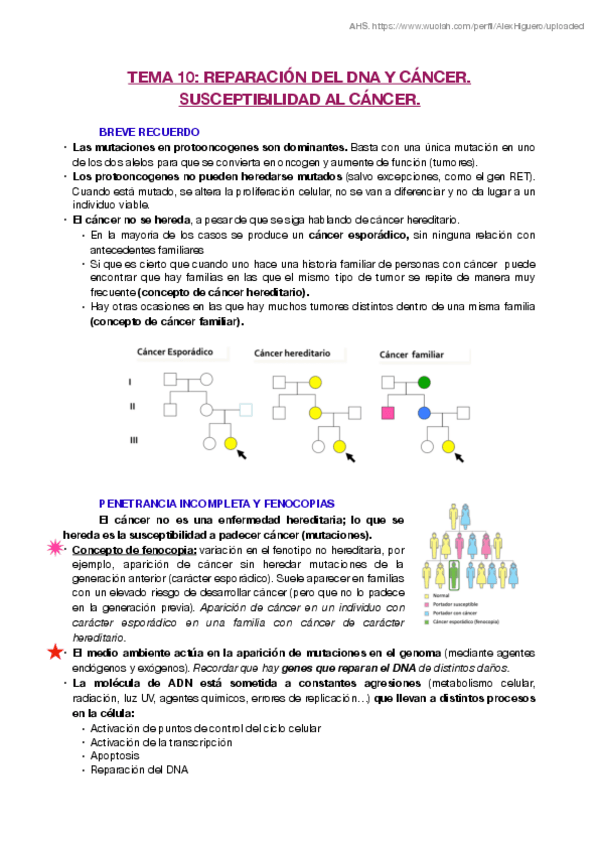 Miniatura del documento T10.pdf