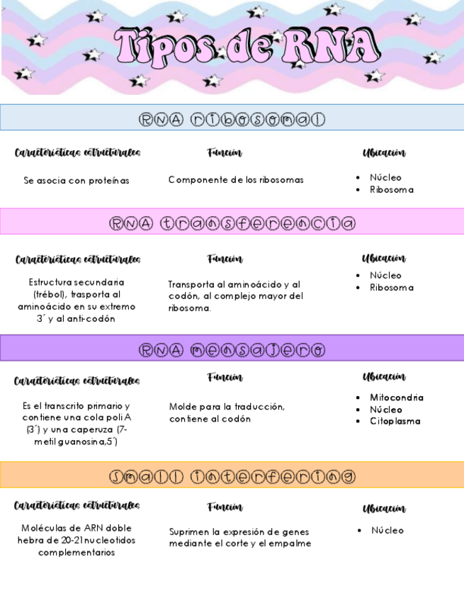 Miniatura del documento Tipos-de-RNA.pdf