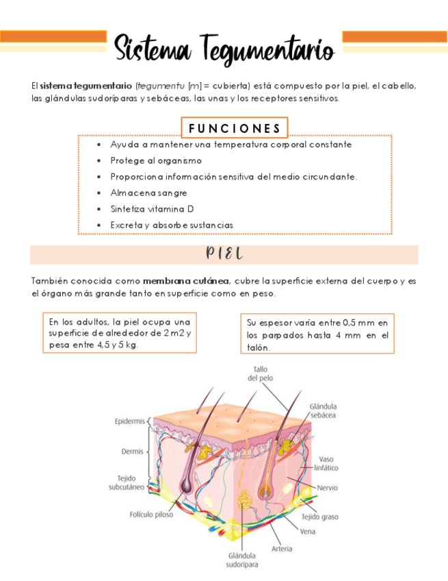 Miniatura del documento Generalidades.pdf
