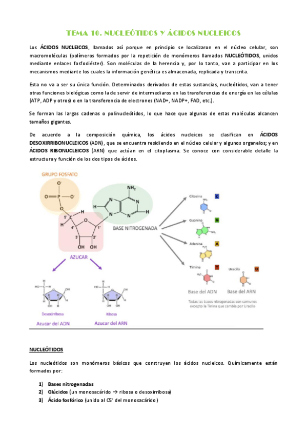 Miniatura del documento TEMA-10.pdf