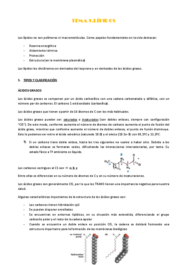 Miniatura del documento TEMA-9.pdf