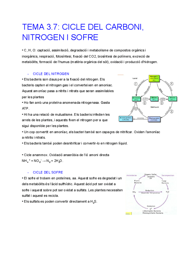 Miniatura del documento TEMA-3.pdf