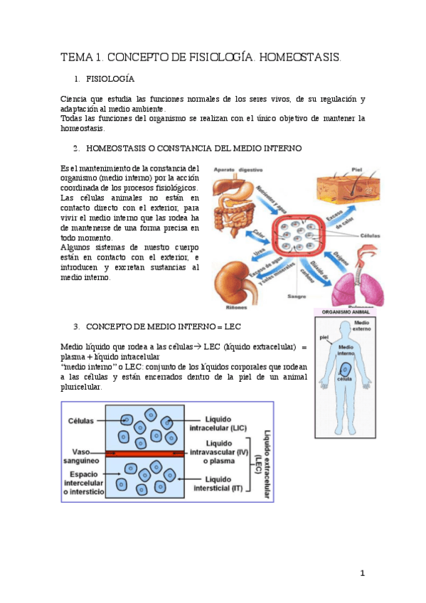 Miniatura del documento SN.pdf