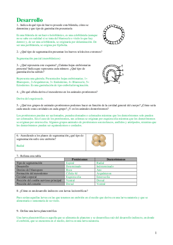 Miniatura del documento Desarrollo.pdf